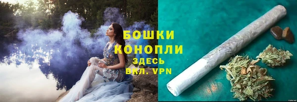 твердый Белокуриха