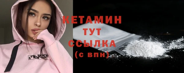 хмурый Арсеньев