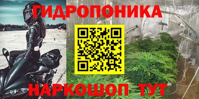 тгк Гай