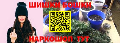 тгк Гай