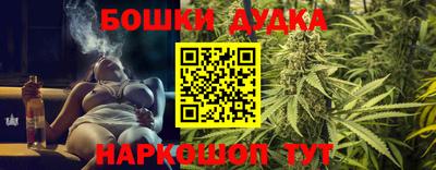 тгк Гай