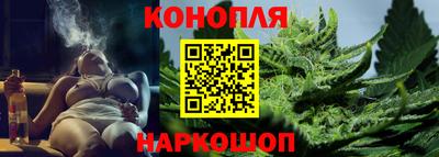 тгк Гай