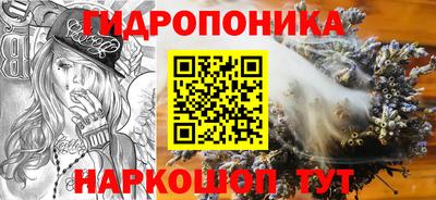 тгк Гай