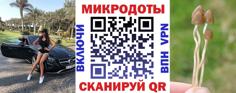 продажа наркотиков  Ефремов  Псилоцибиновые грибы прущие грибы 