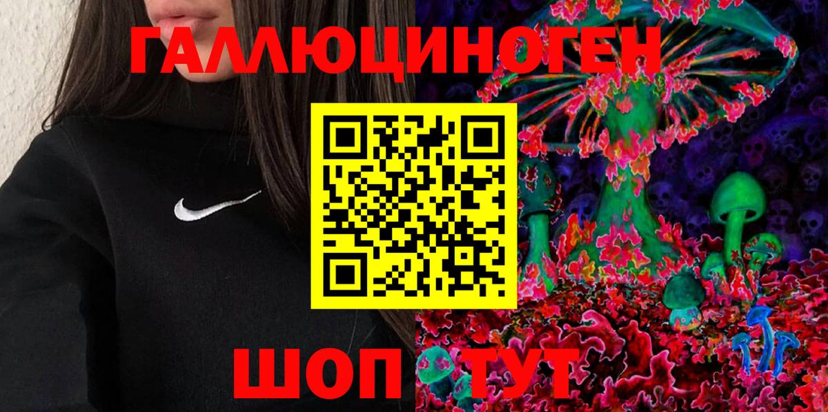 Ефремов  Псилоцибиновые грибы ЛСД  Вход с VPN  Псилоцибиновые грибы Psilocybine cubensis 