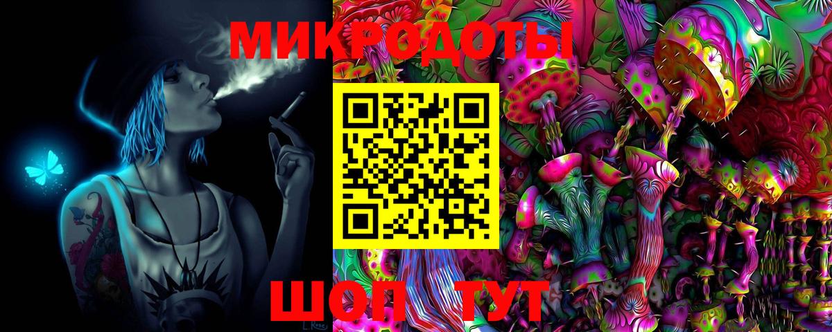 Псилоцибиновые грибы Psilocybine cubensis Ефремов