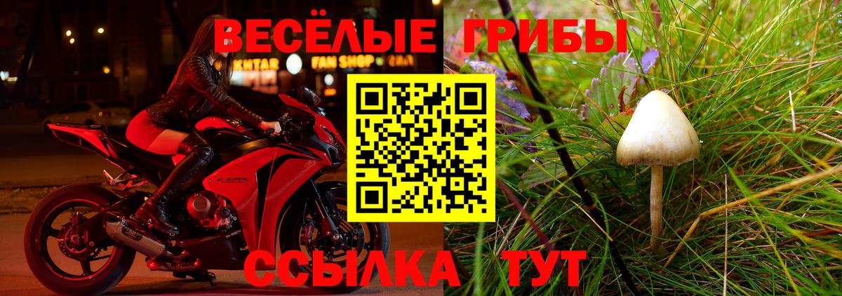 Экстази Ефремов