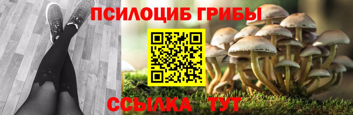 Галлюциногенные грибы мухоморы  Псилоцибиновые грибы Cubensis  Ефремов 