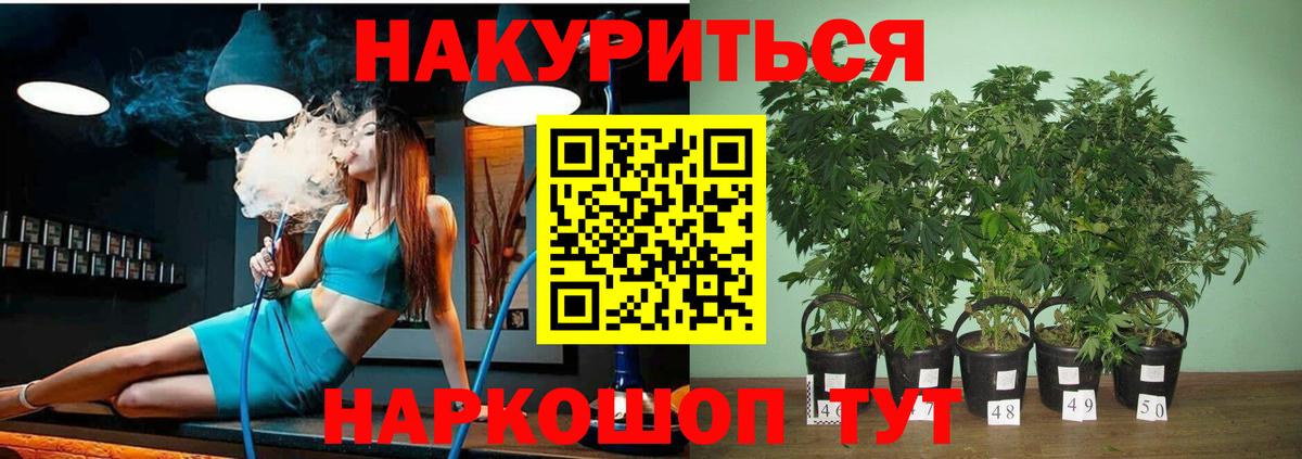 Каннабис план  Канабис семена  Марихуана White Widow  Ефремов  Вход с VPN 