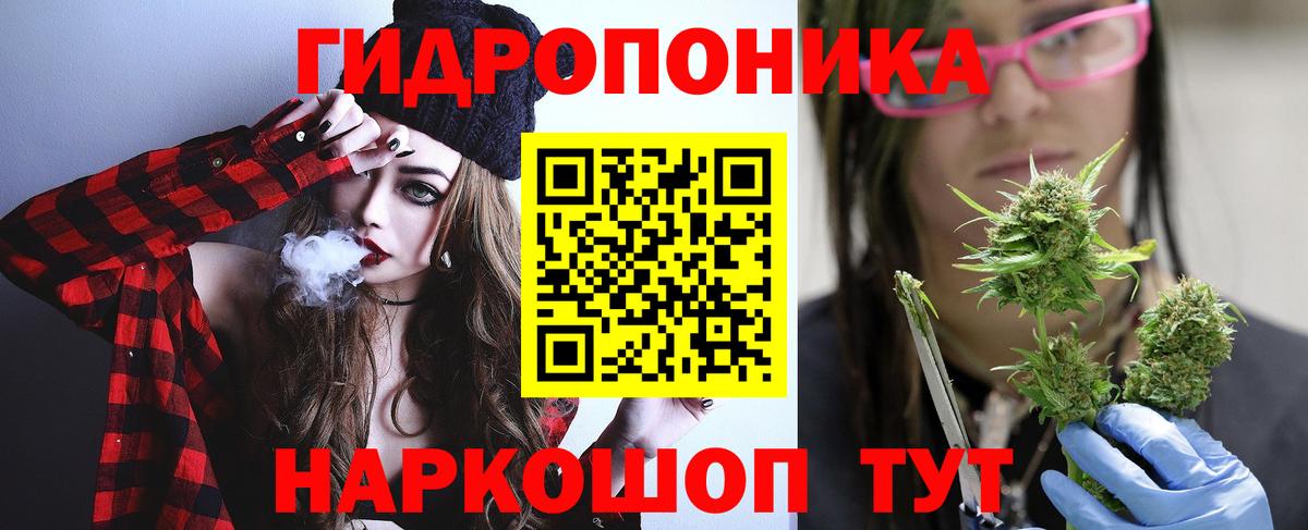 Бошки Шишки семена Ефремов